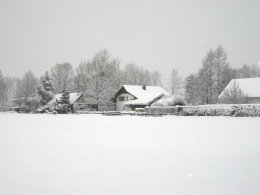 Schnee26.jpg