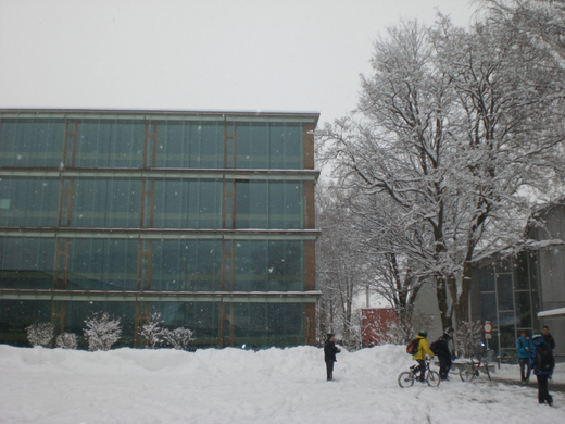Schnee31.jpg