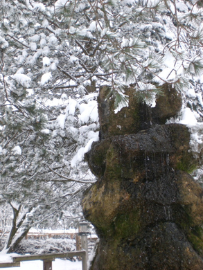 Schnee38.jpg