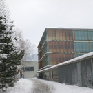 Schnee43.jpg