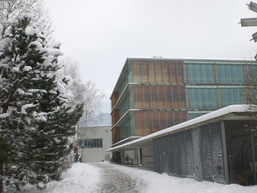 Schnee43.jpg