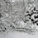 _DSC01840001_1.JPG