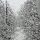 _DSC02360023_1.JPG