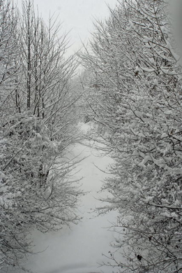 _DSC02360023_1.JPG