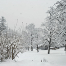 _DSC02580031_1.JPG