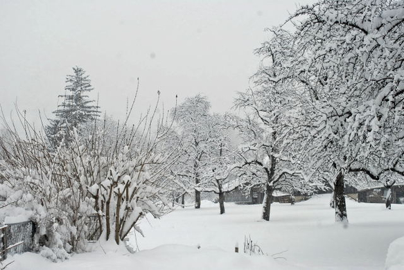 _DSC02580031_1.JPG