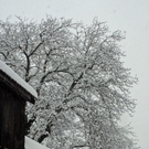 _DSC02670036_1.JPG