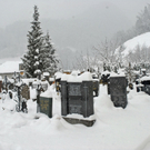 _DSC03470072.JPG
