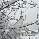 _DSC03890085_1.JPG
