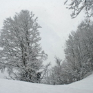 _DSC03990088_1.JPG