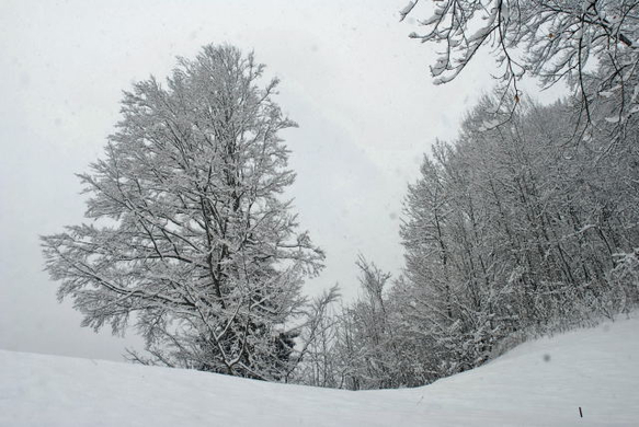 _DSC03990088_1.JPG