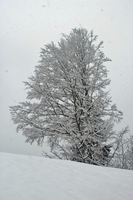 _DSC08740001.JPG