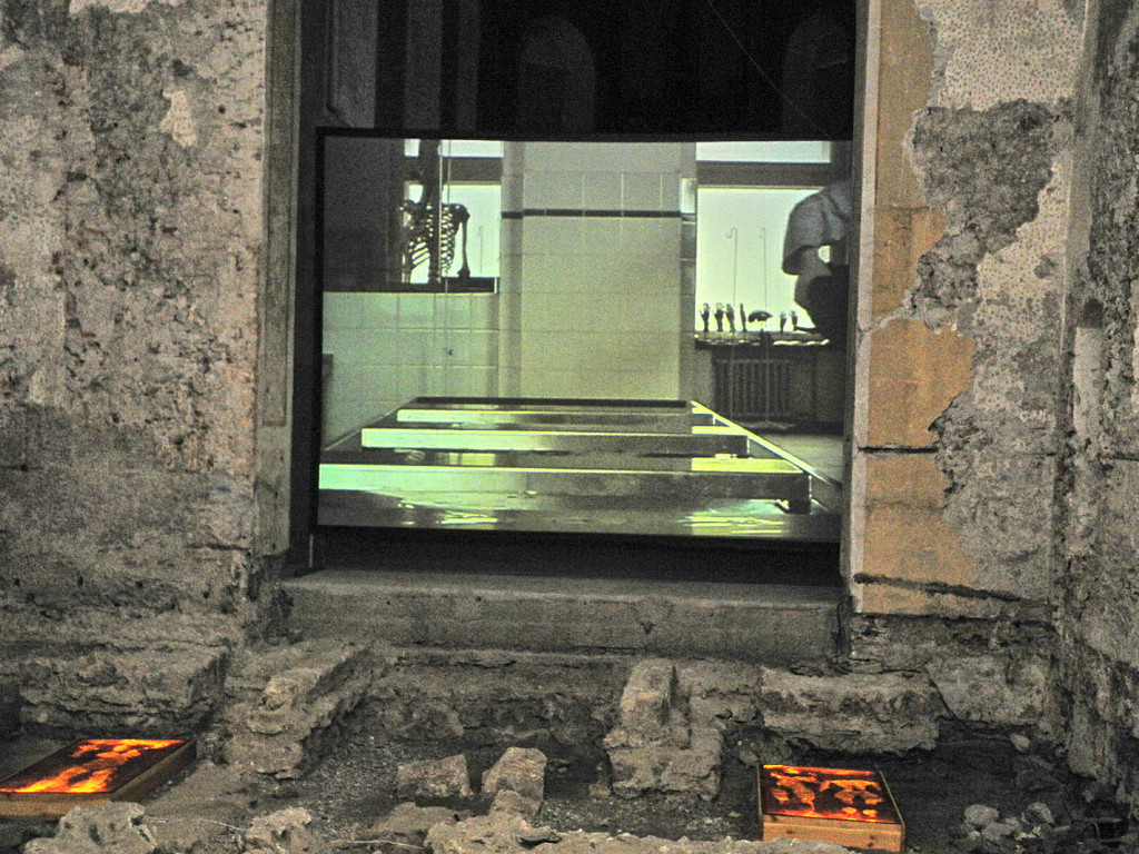 DSCN6715_JPG-1342267546