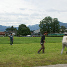 107_JPG-1342294706