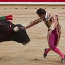 IBD0921-20120713.jpg