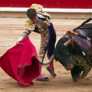 IBD0035-20120713.jpg