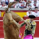 IBD0853-20120713.jpg