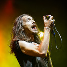 incubus - Forestglade Wiesen 2012 - florian wieser-2.jpg