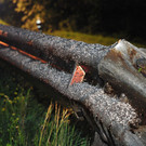 15072012vustjohannat04002aktivnews065.JPG