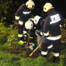 15072012vustjohannat04002aktivnews070.JPG