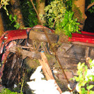 15072012vustjohannat04002aktivnews020.JPG