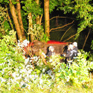 15072012vustjohannat04002aktivnews009.JPG
