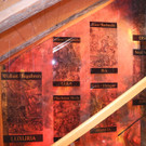 DSCN6452_JPG-1342336043