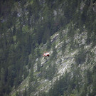 14072012bergde01001aktivnews_58.jpg