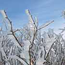 Feldberg-25-02-2009-032.jpg