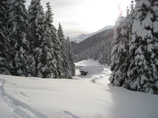 Frischer_neuschnee.jpg