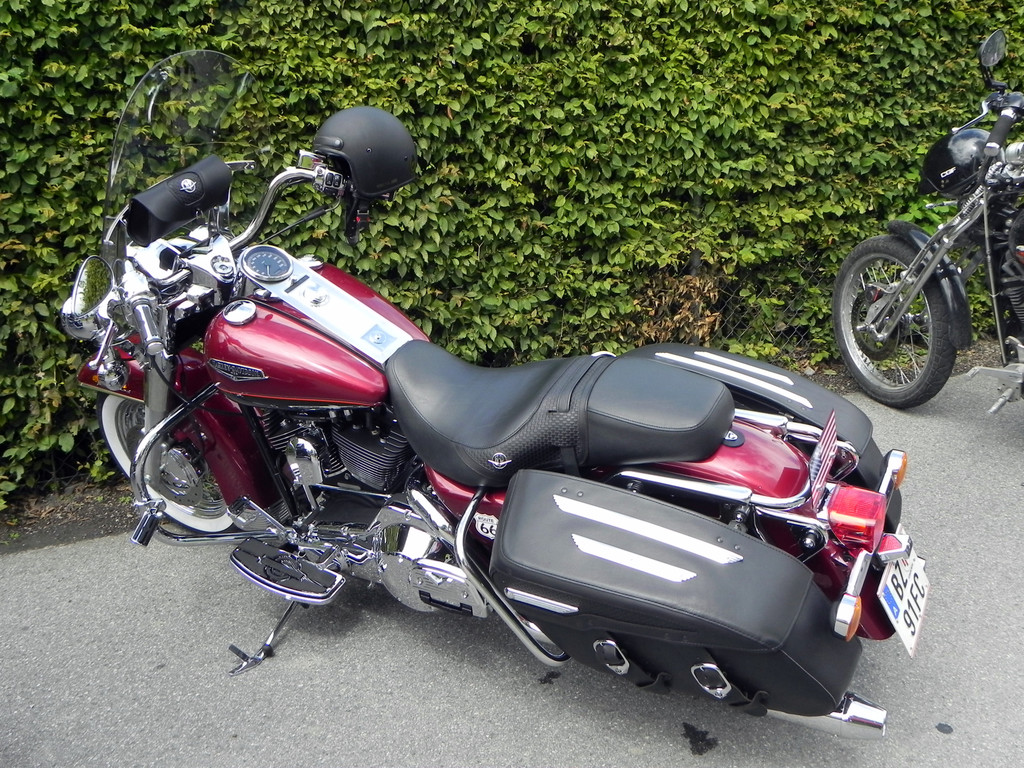 DSCN7868.JPG