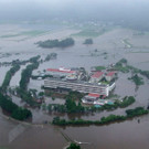 IBD0303-20120714.jpg