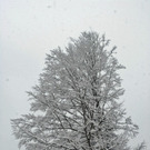 _DSC08740001.JPG