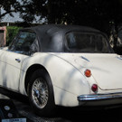 DAB1149-20120715.jpg