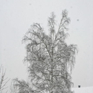 _DSC02490025_1.JPG