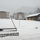 _DSC02620033.JPG