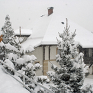 _DSC03360067.JPG