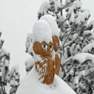 _DSC03400069.JPG