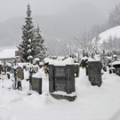 _DSC03470072.JPG