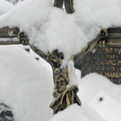 _DSC03590077.JPG