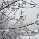 _DSC03890085_1.JPG