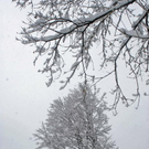 _DSC03980087_1.JPG