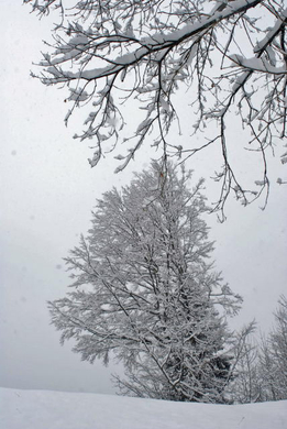 _DSC03980087_1.JPG