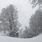 _DSC03990088_1.JPG