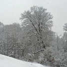 _DSC08790003_1.JPG