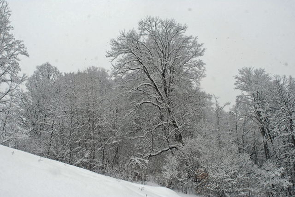 _DSC08790003_1.JPG