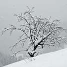 _DSC08820005.JPG