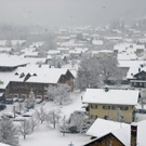 _DSC08900012.JPG