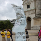 DSC_0098.JPG