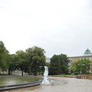 DSC_0100.JPG